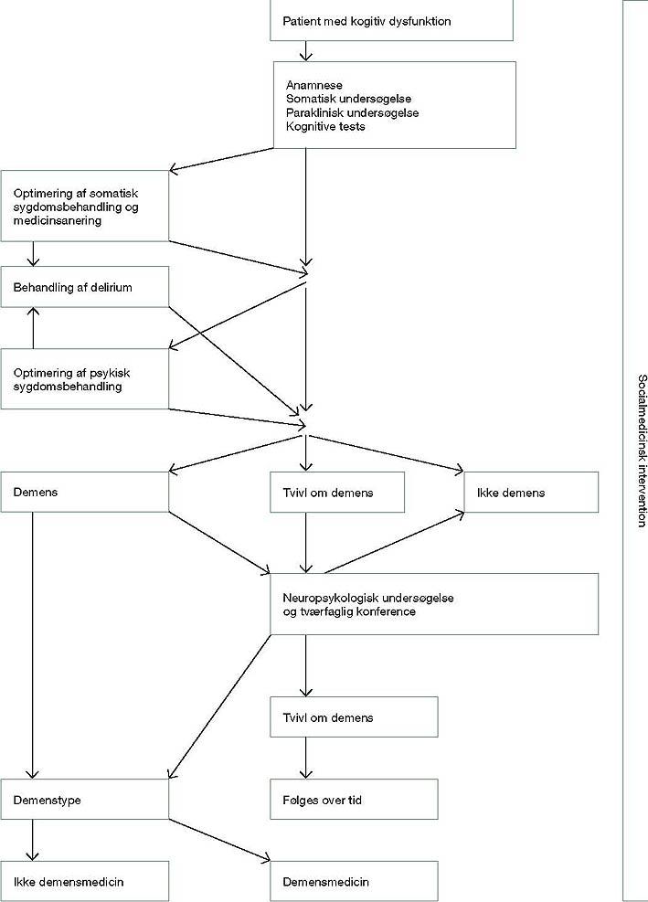 Flowdiagram for udredning og behandling af patient med kognitiv dysfunktion