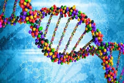 DNA arvemassen