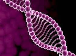 epigenetikken