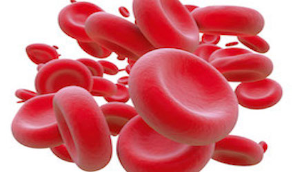 Immunterapi