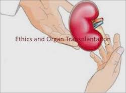 Transplantations immunologi